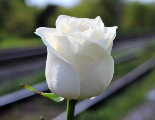 人的高階清醒：把不尊重自己的人，請出生命