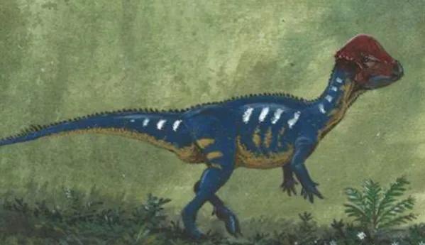 傾頭龍：厚頭龍類小型恐龍(長2.5米/顱骨長刺)