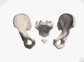 太極拳開胯練習出內勁的原理和物理學基礎