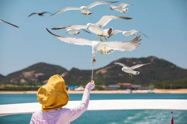 海驢島旅遊避暑聖地