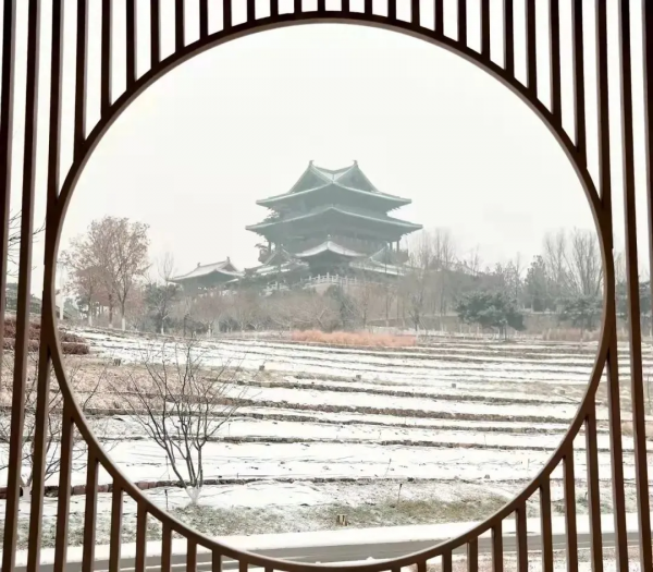 早春限定雪景！在人少景美的京郊幽謐賞雪、圍爐話家常～