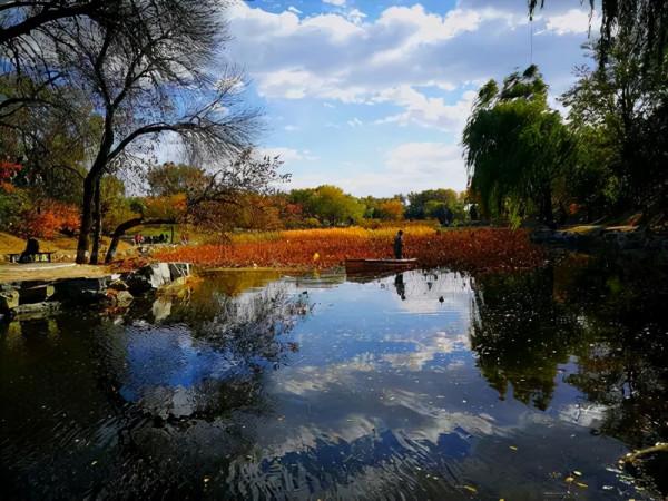 名家經典丨老舍:想北平 名家經典丨老舍:想北平