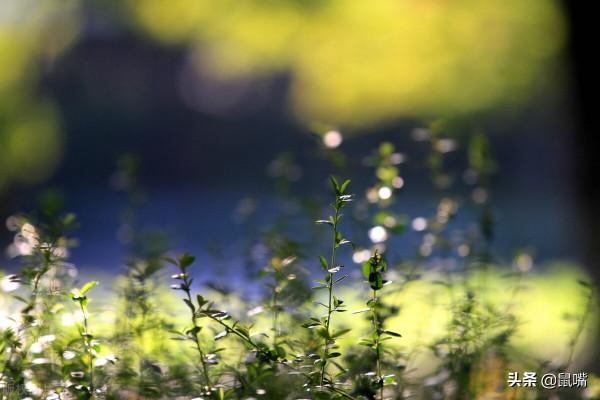 《尉繚子》原文 譯文(十七) 《尉繚子》原文 譯文(十七)