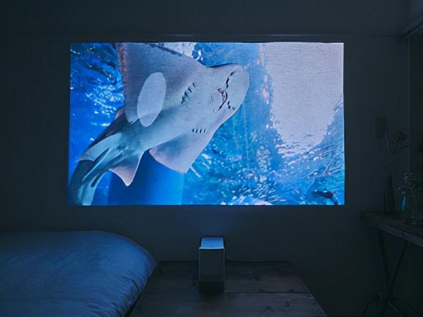 自由撰稿人，曬出自己55㎡小家：悠閒自在，住起來超治癒