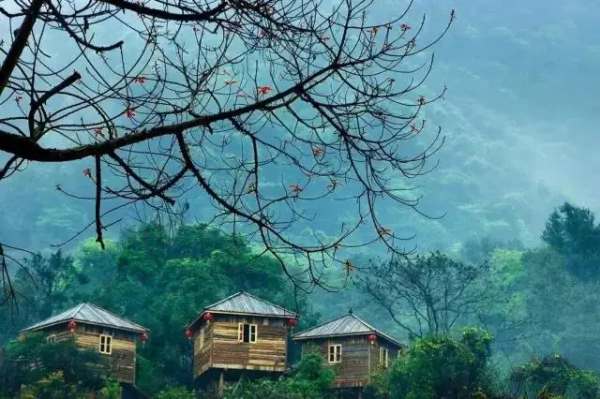 趣旗自駕線路分享：歡聚小年，共剪窗花，泡樹上溫泉，住樹上木屋