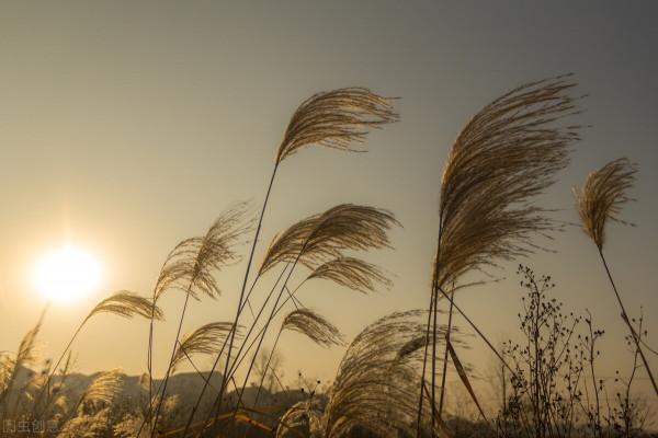 一味名方:天地煎,可調理乾燥症,眼乾、口乾、咽乾、面板幹癢 一味名方:天地煎,可調理乾燥症,眼乾、口乾、咽乾、面板幹癢