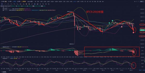 區塊鏈學姐：9月20日 主流幣強烈回撥下，觸底反彈攻勢能否出現？