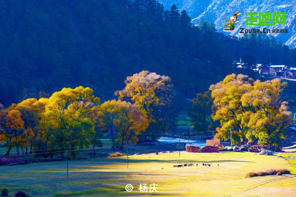 秋色來襲!7條自駕公路一網打盡四川最美風光,你去過幾條? 秋色來襲!7條自駕公路一網打盡四川最美風光,你去過幾條?