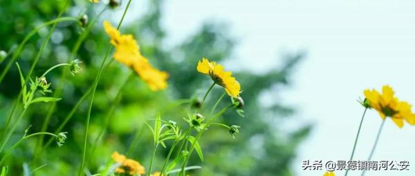 詩詞｜10首經典詩詞：初讀只覺驚豔，再讀已是人生