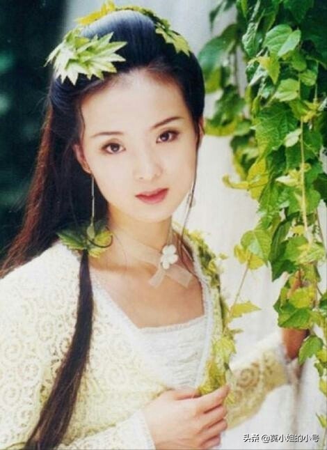 嫁豪門的10位女星：有人幫著還債，有人被兒子看不起，黎姿最幸福