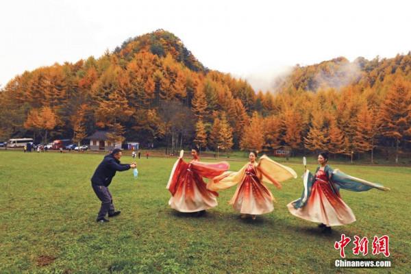 川陝交界曾家山三萬畝林海迎來浪漫紅葉季