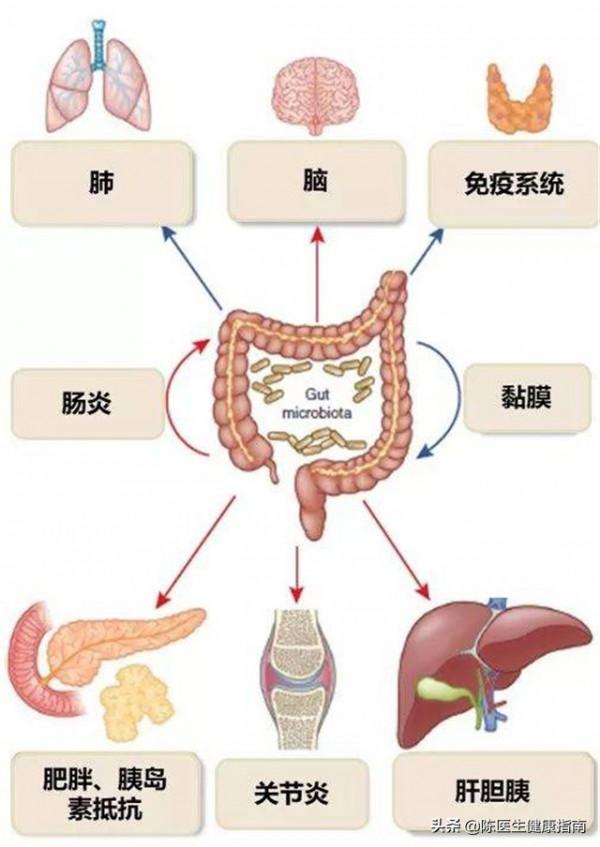 國產降壓新藥:阿利沙坦酯,平穩降壓、降尿酸,幾乎不影響肝腎 國產降壓新藥:阿利沙坦酯,平穩降壓、降尿酸,幾乎不影響肝腎