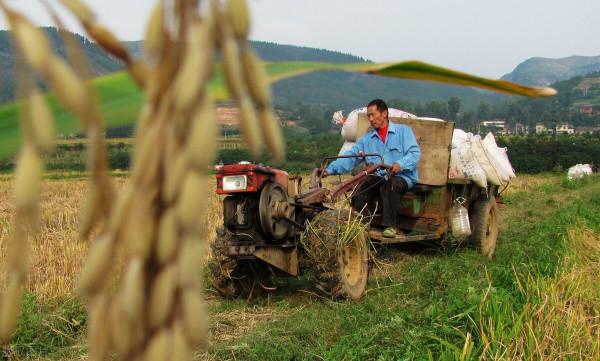 冬季拖拉機啟動困難,農村小夥巧用4個“妙招”,數九寒天也不怕 冬季拖拉機啟動困難,農村小夥巧用4個“妙招”,數九寒天也不怕
