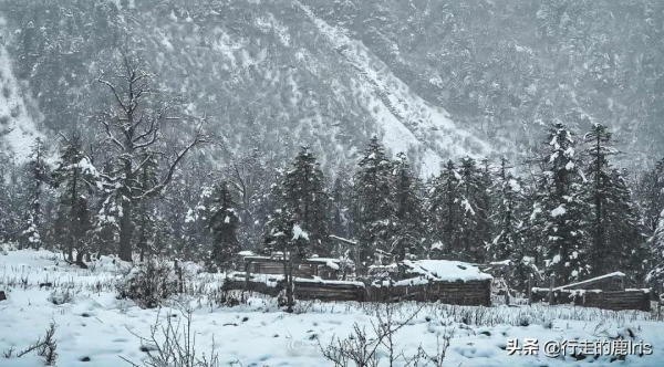 女生SOLO雨崩村：據說只有萬分之一的人見過這樣的雨崩