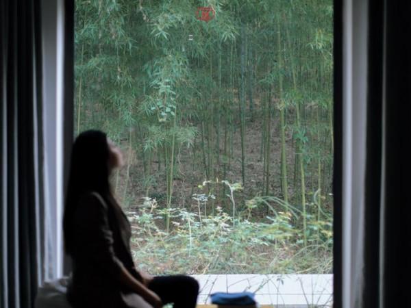 我的天哪,莫干山下的農民房都變成這樣了,城裡人卻喜歡來湊熱鬧 我的天哪,莫干山下的農民房都變成這樣了,城裡人卻喜歡來湊熱鬧