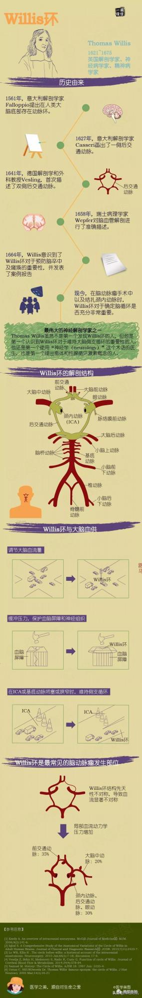 Willis環丨超細解剖+超全變異