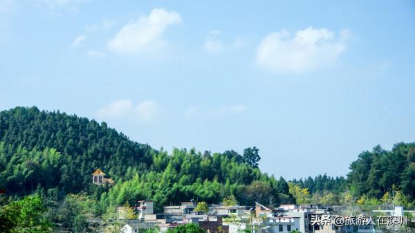 從廣東南雄出發,去看有1680多年的最美銀杏林,這裡全攻略如何玩 從廣東南雄出發,去看有1680多年的最美銀杏林,這裡全攻略如何玩