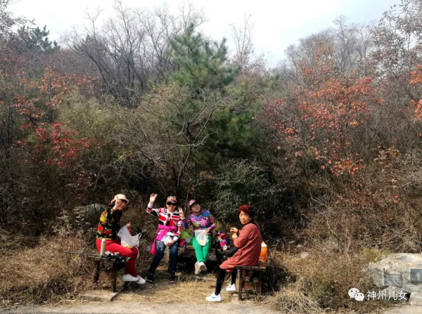 太行紅葉別樣紅