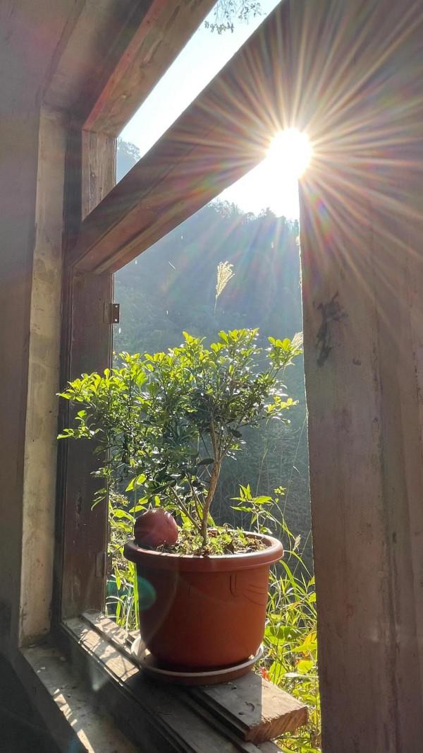 徒步大邑藥師巖