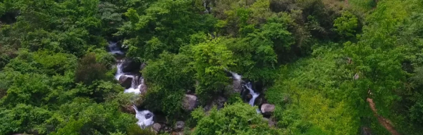 【徒步遊記】關於吳越古道,一份保姆級遊玩攻略送給您! 【徒步遊記】關於吳越古道,一份保姆級遊玩攻略送給您!