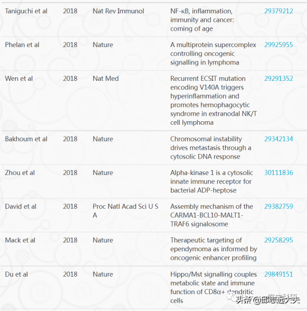 解析NF-κB訊號通路