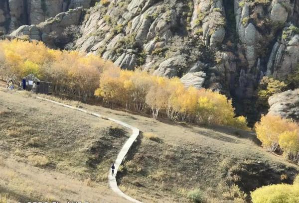 烏盟農村正月看新媳婦