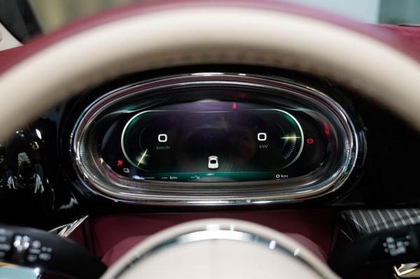 新車｜“大女主”人設解決女性用車需求，實拍尤拉朋克貓量產版