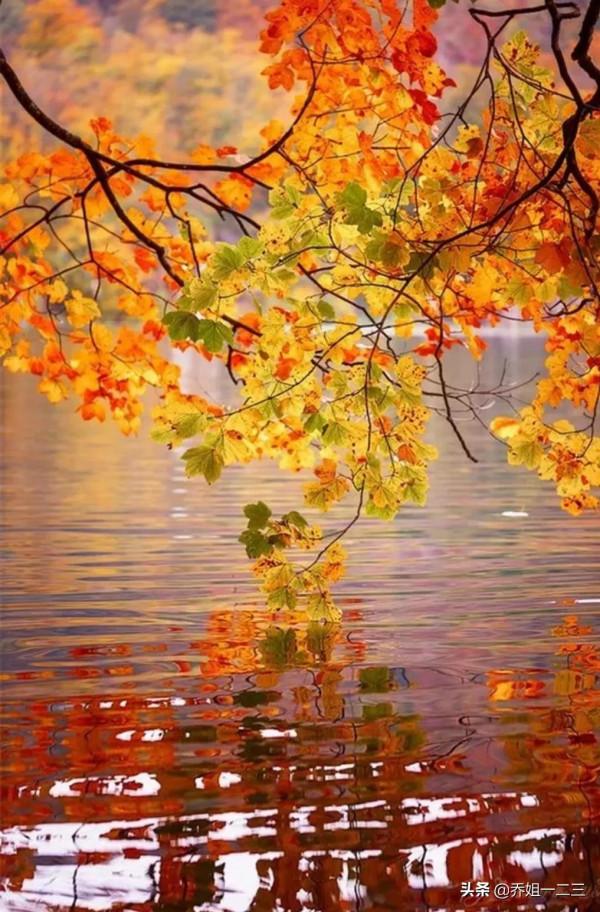 深秋來江蘇，這些地方不要錯過，景美不擁擠