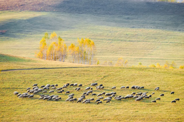 2022你的旅行清單是什麼？10個值得去的旅行地，有在你的清單嗎？