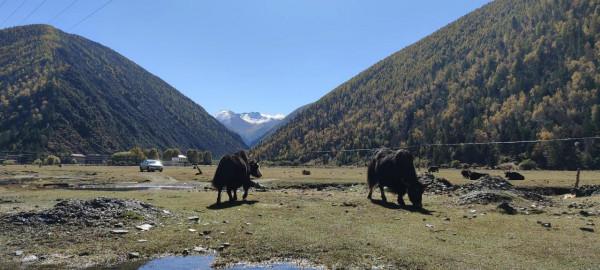 川西～一個來了就不想走的地方