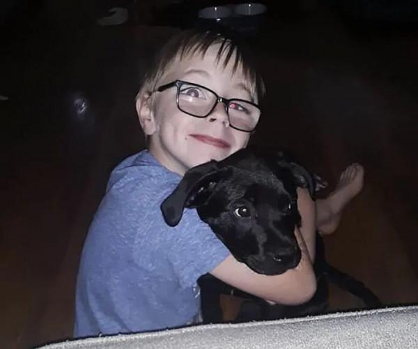 8歲男孩為救狗擺攤賣珍藏套卡，寶可夢公司：送一套新的