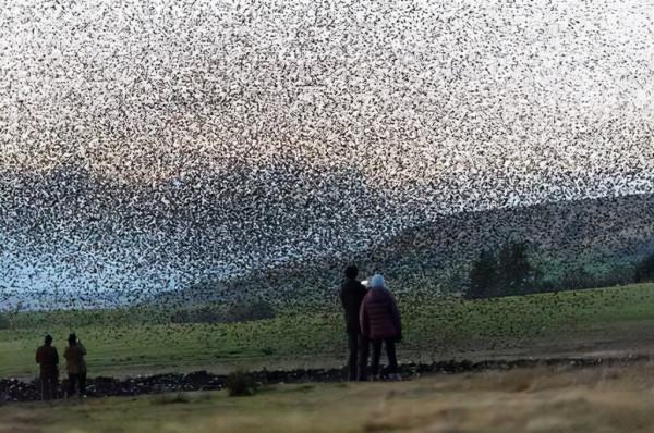 28個令人震撼的自然奇景,竟然是真實存在的 28個令人震撼的自然奇景,竟然是真實存在的