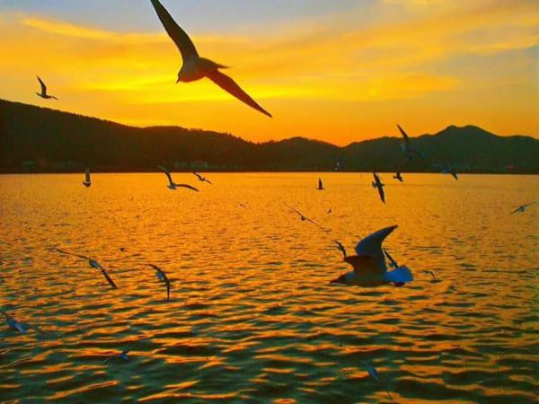 圍棋十訣何嘗不是人生十訣? 圍棋十訣何嘗不是人生十訣?