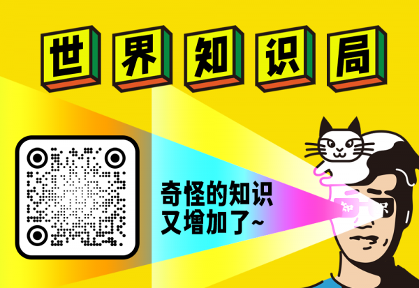 看完了東北人的滑冰工具，我尾椎骨疼了好幾天