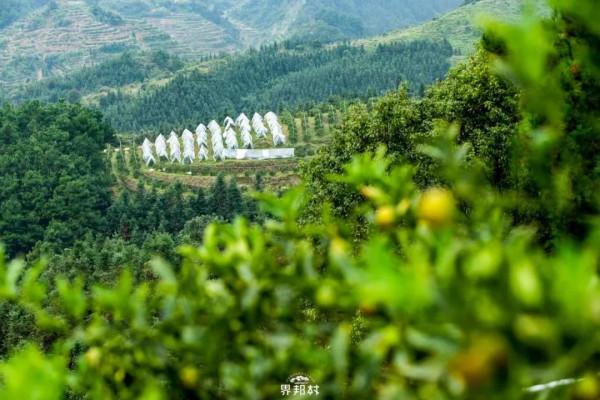 冬天的胃太難伺候！吃什麼才能安撫它呢？資深吃貨拎出了這個清單