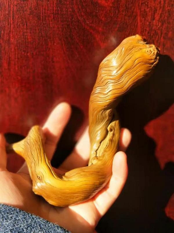 修羽－－風之翼天寸木欣賞，神出地震儀