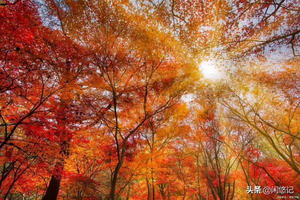 2021年最美八大秋景新鮮出爐 2021年最美八大秋景新鮮出爐