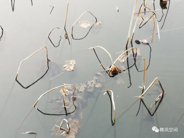 房山牛口峪溼地公園,沒想到風景如此優美 房山牛口峪溼地公園,沒想到風景如此優美