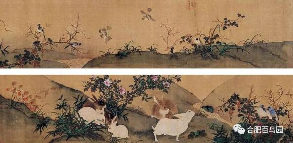 玉兔是個什麼兔？