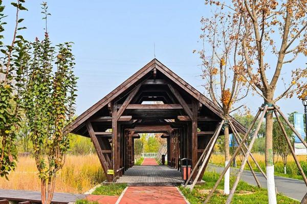 獨一無二！公園裡也能跑火車！京西這處免費的森林公園，值得玩