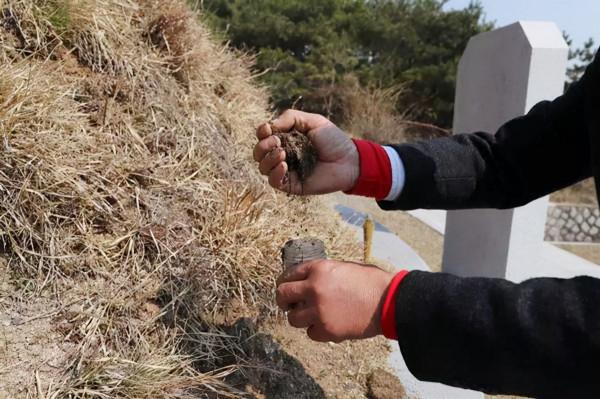 志願軍團長犧牲前旁邊插著兒子的照片,60年後兒子去陵園尋找父親 志願軍團長犧牲前旁邊插著兒子的照片,60年後兒子去陵園尋找父親