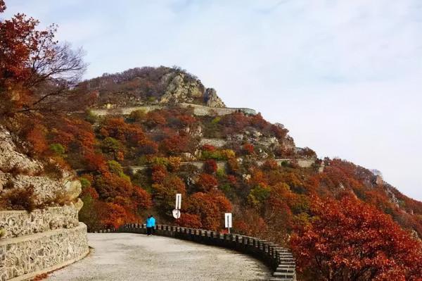 公路之旅！秋意濃，房山紅 | 快來解鎖貫穿美景的靈魂公路