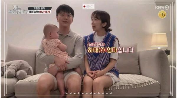 錄製中斷，韓國夫婦把會攻擊寶寶的柴犬一起養，MC生氣走人