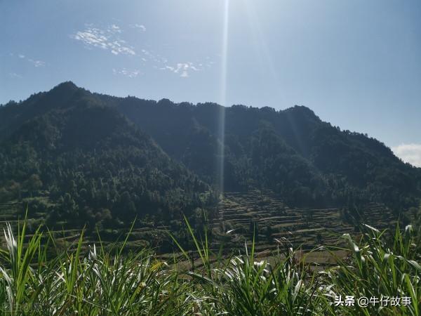 雙方交換人質,游擊隊計策實施成功 雙方交換人質,游擊隊計策實施成功