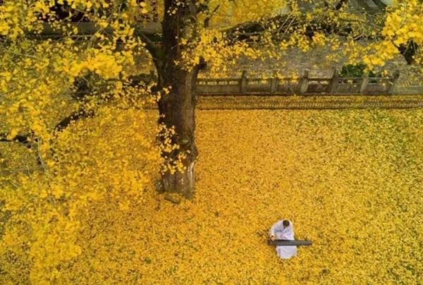 別再說什麼小京都了，寧波這些寺廟來打臉了