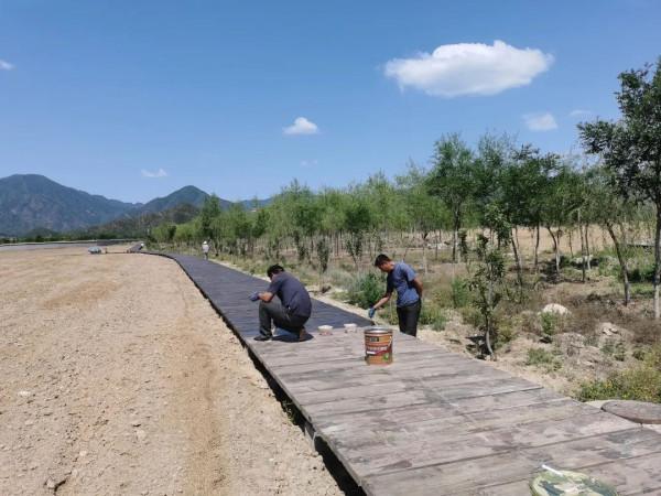 “百合村”再添“小菜園”闖出產業發展新路 “百合村”再添“小菜園”闖出產業發展新路