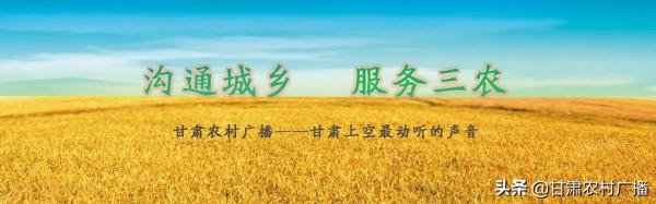 封控區、管控區、防範區，你知道它們的區別嗎？