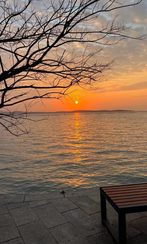 2022年的第一天，我們把長三角41座城市的太陽看了個遍