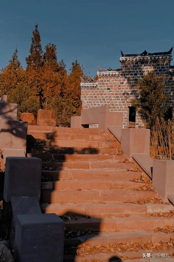 觀唐溫泉×山住茶:古風裡的一杯新制茶 觀唐溫泉×山住茶:古風裡的一杯新制茶