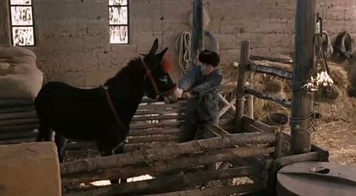 《當家主母》虐貓？這些影視劇的動物們也很慘，有些甚至立過功